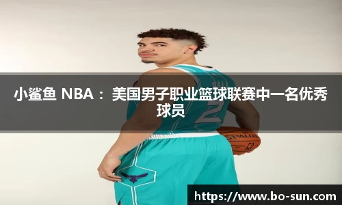 小鲨鱼 NBA ：美国男子职业篮球联赛中一名优秀球员